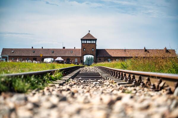 Bild vergrößern: Auschwitz-Birkenau_pixabay
