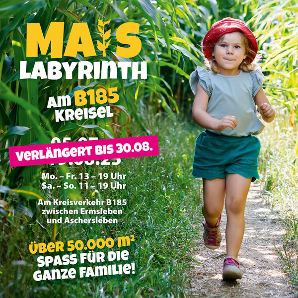 Maislabyrinth wird bis Ende August verlängert
