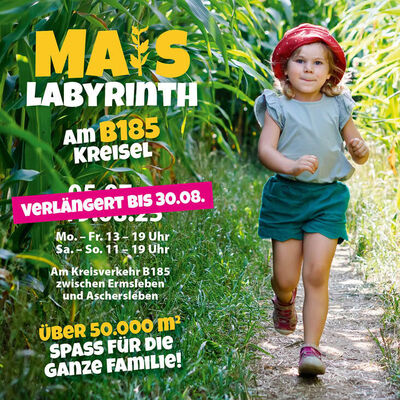 Maislabyrinth wird bis Ende August verlängert