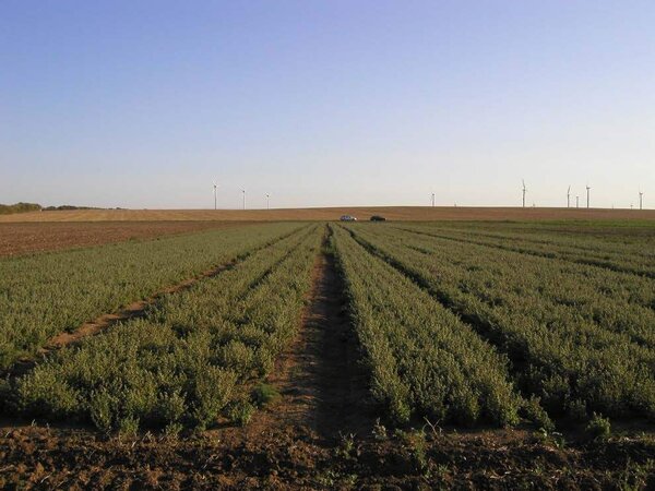 Grafikstiftung Neo Rauch trifft Dr. Junghanns GmbH