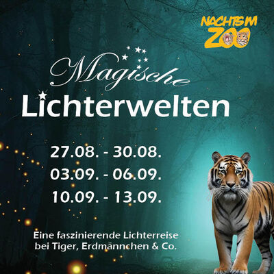 Nachts im Zoo - Magische Lichterwelten