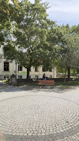 Bild vergr&ouml;&szlig;ern: Stephaneum