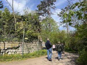 Bild vergr&ouml;&szlig;ern: Turmruine im Zoo Aschersleben