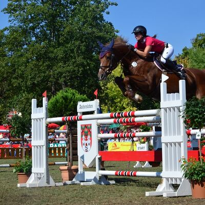 ASCANIA Pferdefestival - das hochkarätige Reitturnier auf der Herrenbreite Aschersleben