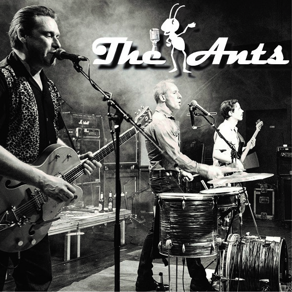 "The Ants" bringen für einen Abend den Rock'n'Roll in den Museumshof..