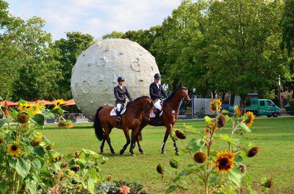 Bild vergrößern: Traditionell findet immer Mitte August groer Reitsport auf der Herrenbreite Aschersleben statt.