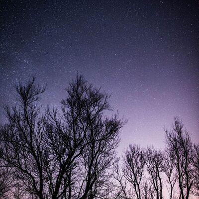 Der Sternenhimmel im Winter